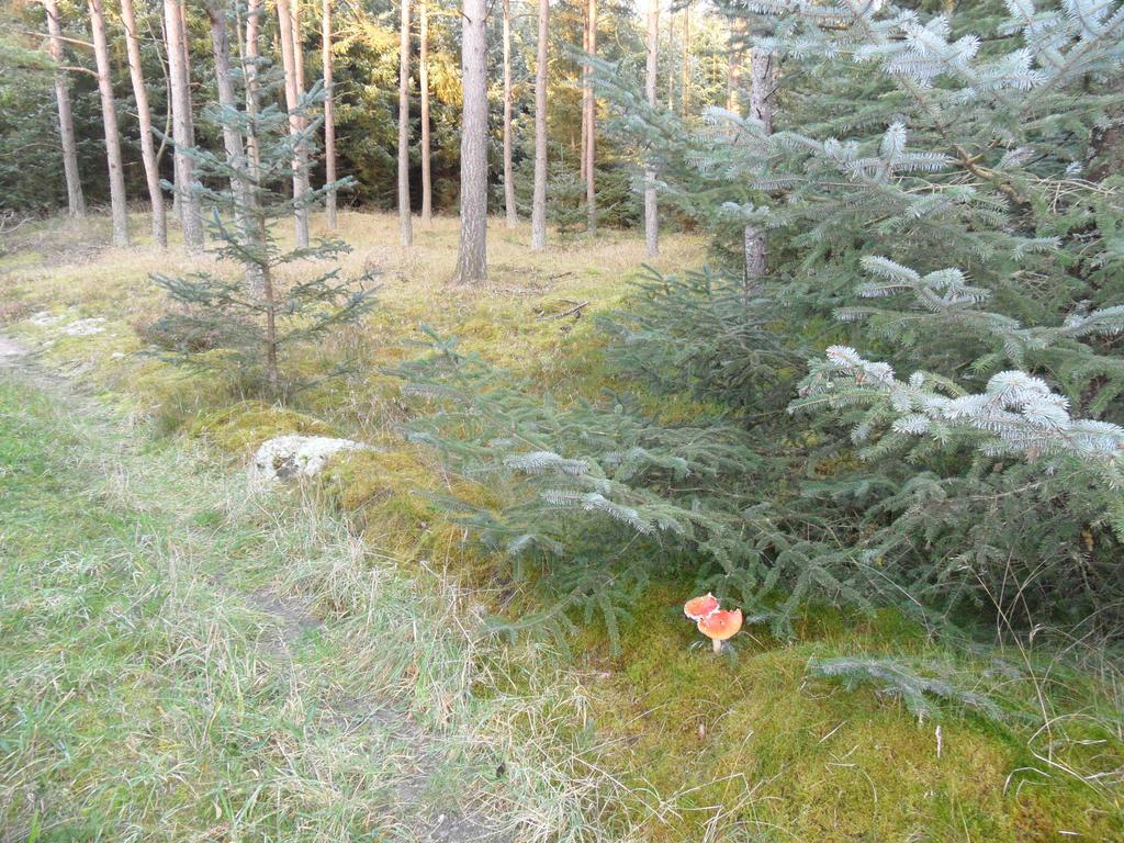 Tvillinggaard Thy Bed and Breakfast Vang  Exteriör bild